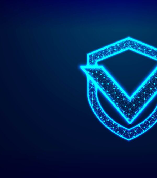 Shield with Check mark. Network security, safety, privacy concept. Abstract Low Poly Wireframe Mesh Design, Vector Illustration